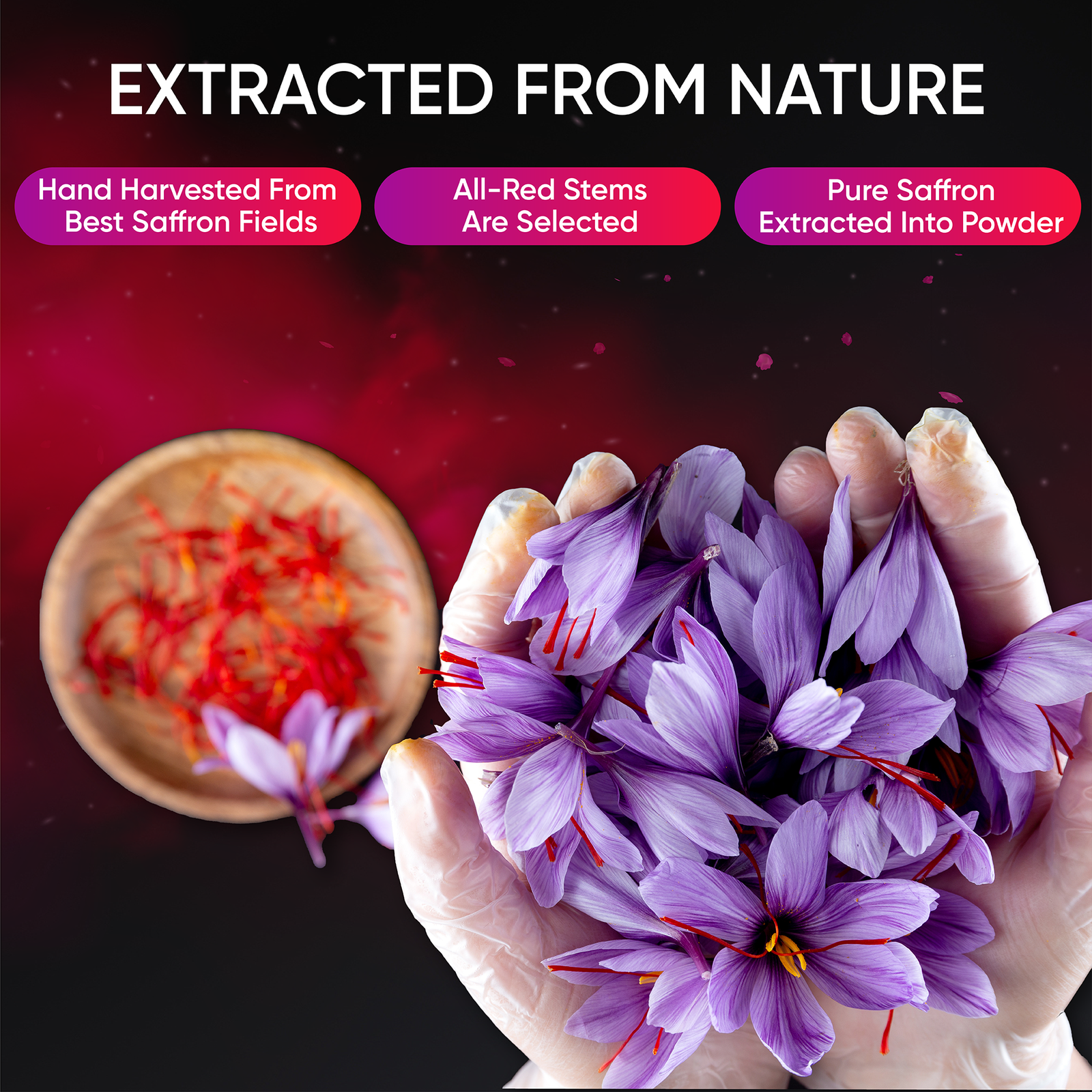 Saffron Supplements - Saffron Extract Supplements – Zaran Saffron